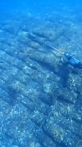 1.1M views · 4.4K reactions | Wow nice shot #reels #pyp #viral #fishingvideos #viralvideo #thankyouforyoursupport #SpearfishingVlog #thankyouforwatchingmyreels | Boss Maki | Facebook