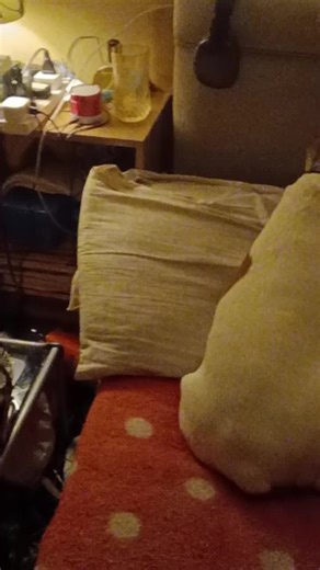 helloprincess02 (@helloprincess02)’s videos with original sound - 𝓴𝓸𝓭𝓲𝓮𐙚⭑