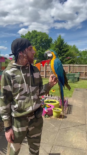 Bird Man's Amazing Parrot Tricks