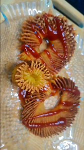 SUPER CRISPY POTATO Spring 3.0 🥔 #shorts #viral #easyrecipe