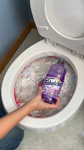 85K views · 899 reactions | the right way to clean a toilet | The Midwest Ladies | Facebook