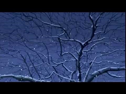 Frank Sinatra - Have Yourself a Merry Little Christmas (slowed + reverb)