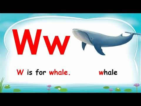 Little Learning Stars Unit 7 Lessons 5 and 6