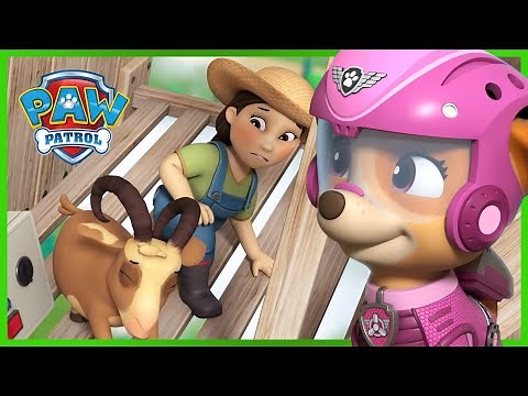 Pups Save a Flying Farmer Yumi! - PAW Patrol Episode - Cartoons for Kids