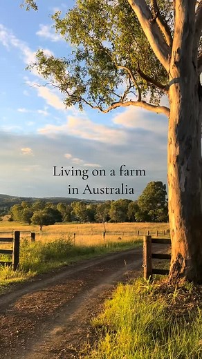 Farm life in Australia 😍 | Farming ANZ