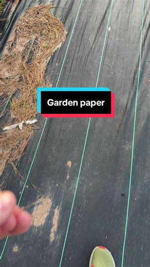 Effortless Weed Control with Fabric Weed Barriers