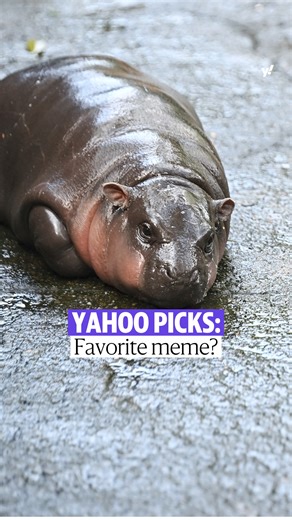 78K views · 294 reactions | There was no shortage of news, or memes, in 2024. Here's a roundup of the top internet moments that kept the Yahoo News team laughing all year long. Read more: https://yhoo.it/3VV2UsR | Yahoo News | Facebook