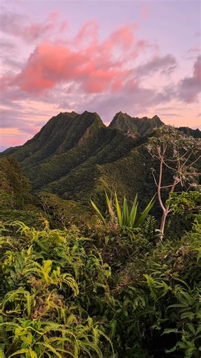 Jeffrey Kieffer on Instagram: "@quietplaces — Cook Islands. 🏝️🇨🇰 Tropical daydreams from the South Pacific. Featuring Rarotonga & Aitutaki. ———————— #tropical #aitutaki #oceanvibes #islandlife #shotoniphone rarotonga calming cookislands"
