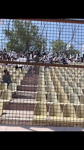 Celebration Day❤️🇦🇫🏳️❤️🔥💥 | Osaka Japan Motorcycles