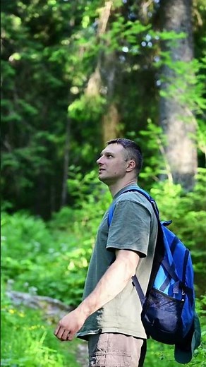 Most beautiful hiking trail: Eichstätt Panorama Trail is nominated ☀️