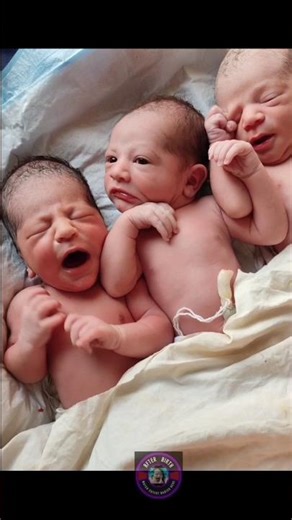 Heartwarming Moments of Cute Triplet Newborn Babies ‪@B-M-W-CARE‬