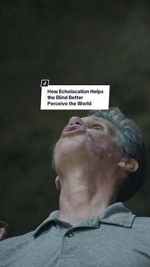 Echolocation: A Blind Man's Guide to Seeing