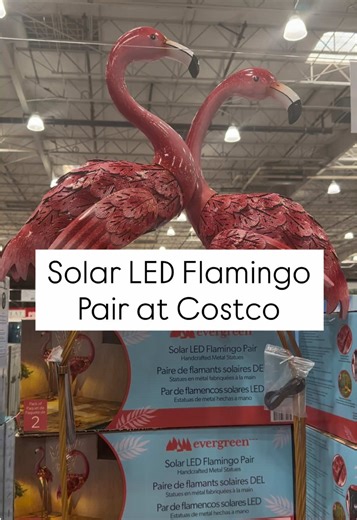 Cute Solar LED Flamingos at Costco: A Must-Have for Outdoors