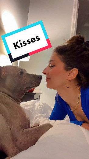 Girl and Dog Kisses - Heartwarming Moments with a Cute Pup