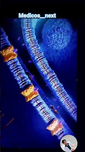 Synaptic Cleft . Neurotransmitter Junction. #doctorstrangeinthemultiverseofmadnessreview #biology