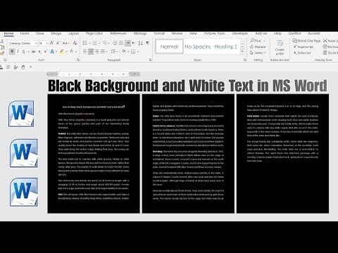 White Text on Black Background in Word