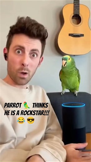 My Parrot 🦜 calls himself a Rockstar 😎