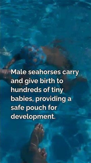 Unbelievable Animal Parenting and Reproduction Strategies You’ve Never
