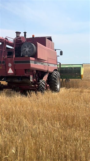 Ferme de Slavianka – viața de fermier în agricultură