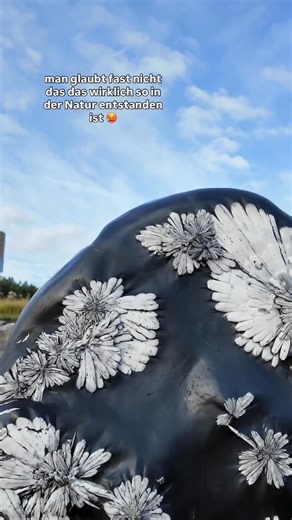4.6K views · 110 reactions | This beautiful stone is Chrysanthemum...