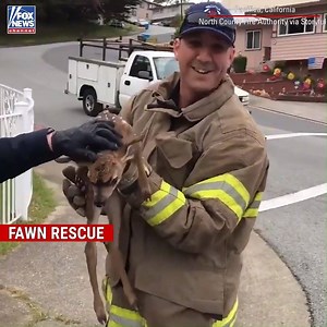 199K views · 3.7K reactions | FAWN RESCUE: California firefighters saved the day for a small fawn stuck in a storm drain. | Fox News | Facebook