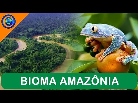 BIOMA AMAZÔNIA