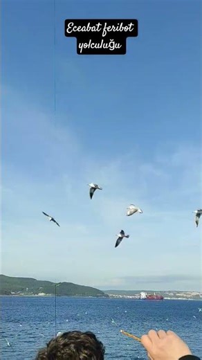 #vlog #aboneol #shorts #shortvideo #youtubeshorts #travel #world #trending