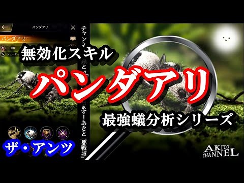 ザ・アンツ 最強の組み合わせ？ パンダ の相乗効果が恐ろしいことに気づいてしまう動画・・・最強蟻分析シリーズ(ザアンツ The Ants underground kingdom)