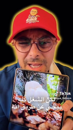 فوائد فطر عرف الأسد للصحة العقلية