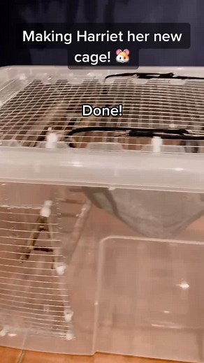 Making Harriet Her New Cage! DIY Hamster Bin Cage