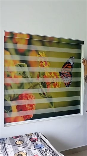 #zebrablinds availble plz📞7095046115#kakinada#home#windowblinds#venetianblinds##teluguvlogs#ytshorts