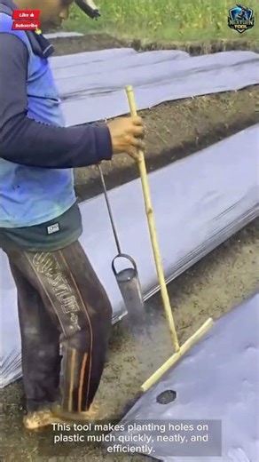 Mulch Hole Punch Tool Make Plant Holes Fast Neat#tool