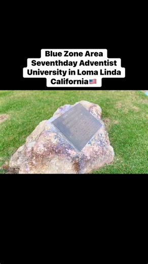 Loma Linda is a city in San Bernardino County, California, known for being a national center for health and wellness research, and the only U.S. "Blue Zone" where residents live remarkably long, healthy lives. Located in Southern California, it is a suburb of San Bernardino and is known for its predominantly vegetarian diet, regular exercise, and Seventh-day Adventist community. #healthylifestyle #adventist #LomaLinda #UnitedStates | Kapitan Rudy