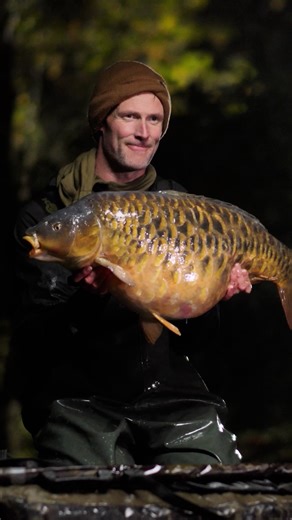 Pecky has IMPROVED the Combi Multi Rig! Here's how 💡🐋 . When using a size 4 Wide Gape X on his ever faithful Combi Multi Rig, @darrellpecky has incorporated the use of a 'shot on the hook' to improve the hooks effiency when the hookbait is picked up! Never one for changing things 'if they ain't broke' - Darrell really believes this new addition will help you catch more carp! . Have you tried them yet? 👀 . . #kordaofficial #korda #carpfishing | Korda Developments