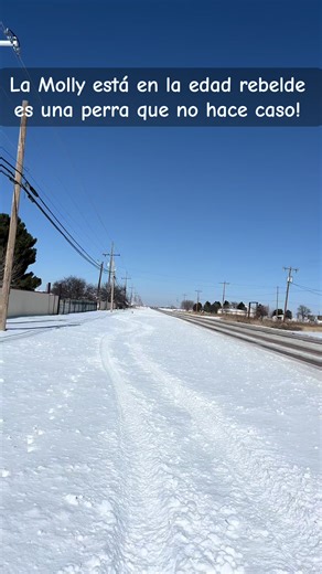 Molly rebelde #nieve
