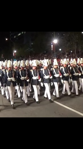 #chile🇨🇱 #prussian #military #ejercitodechile #hellmarch #prussia #ww1 #desfilemilitar #deutschland