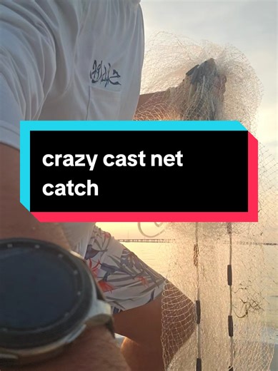 florida fishing crazy cast net catch. #fishing #castnetfishing #puntagorda #castnet #alligatorgar