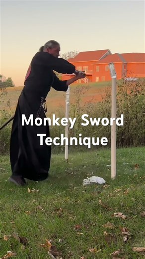 Monkey Sword Technique