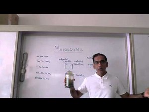 Mesocosms (IB Biology Prescribed Practical 5)