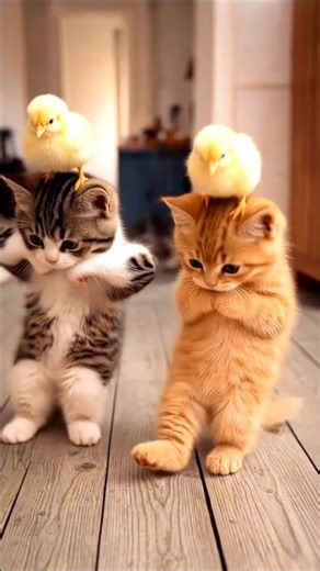 😯💕Meow viral dance video Cross 200 million views #trending #dance #viral #meow