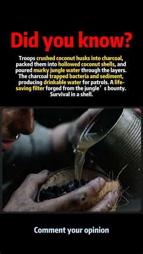 The Coconut Shells That Became Emergency Water Filters #history #shorts