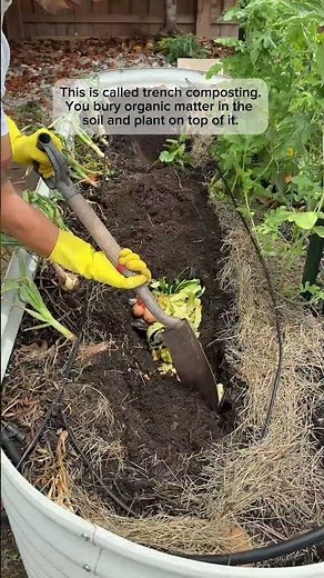 The easiest composting method of all!