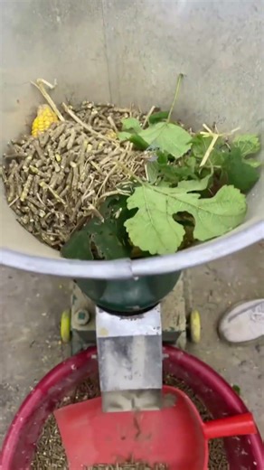 Rising Feed Prices Managed With Pellet Machine For Poultry Farms In Ethiopia | 6 Cost Saving Ideas