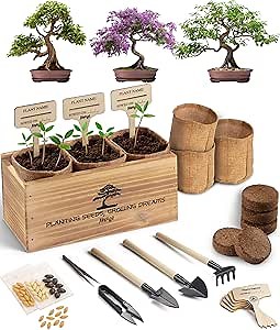 Avergo Bonsai Tree Kit – 3X Unique Japanese Bonzai Trees | Complete Indoor Starter Kit for Growing Bonsai Plants with Tools & Planters – Gardening Gifts for Women & Men