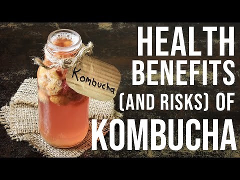 NEW Science on KOMBUCHA Tea Health Benefits | Is Kombucha ACTUALLY Good for Gut Health?