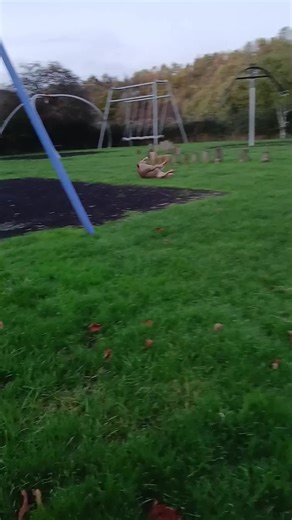 #fyp #jbooth_tattoos #princesspeaches #pocketbully