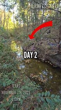 CATCHING MY OWN PET 10LB BASS! 😨😯 #shorts