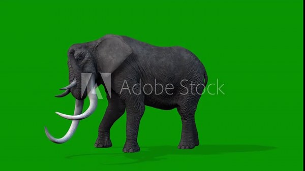 3D Elephant Attacking Scene left Side on Green Screen Rendering Animation