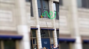 Crowd on the edge of their seats for parrot rescue