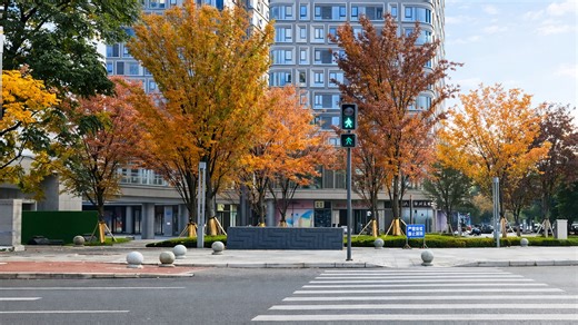 איך נופי הסתיו משפיעים על חוויית החיים בעיר בסין